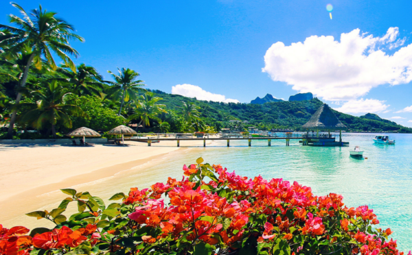 Prestigious Polynesia Singles Cruise