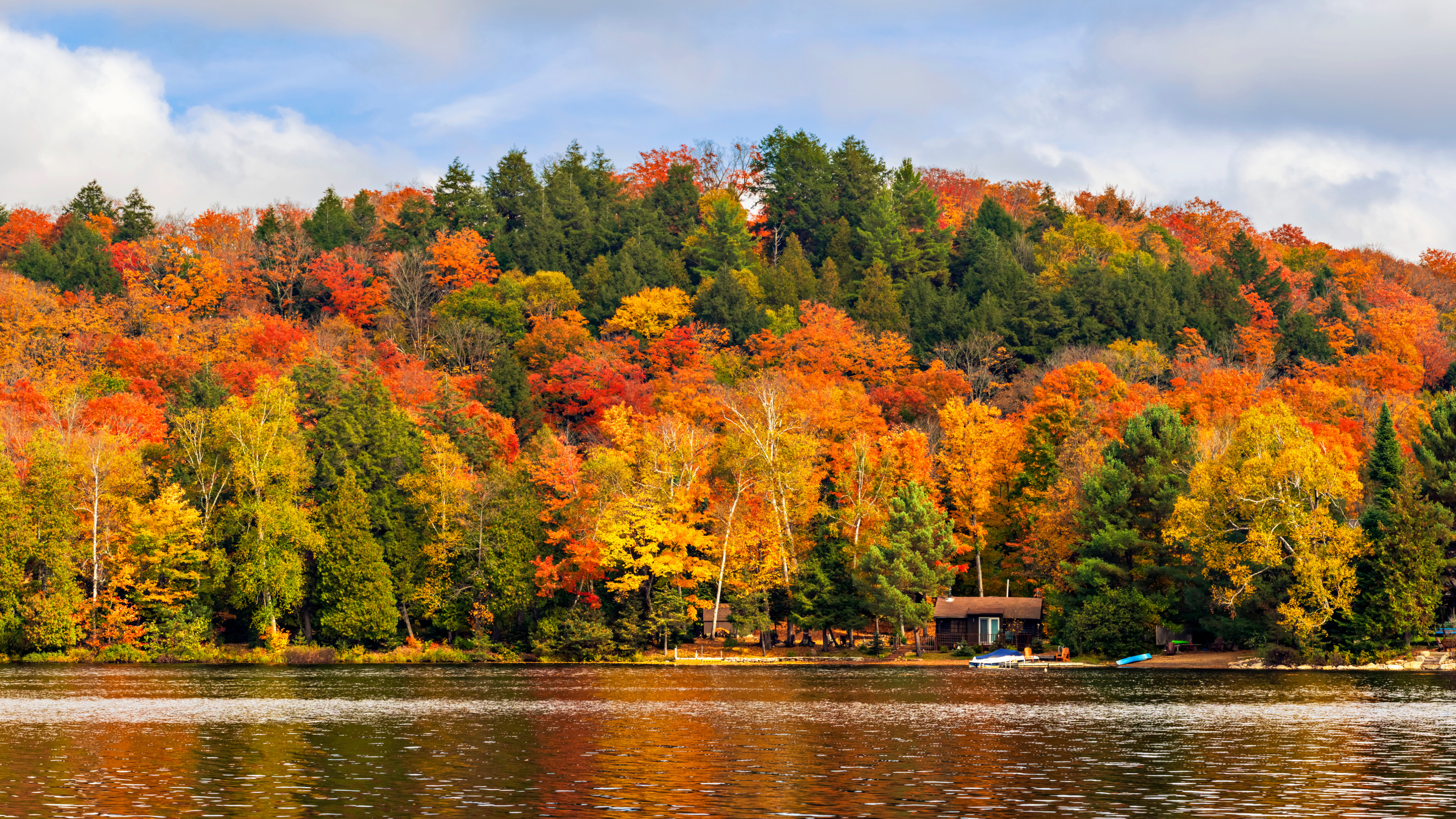 Autumn Splendor Singles Cruise - Image 7