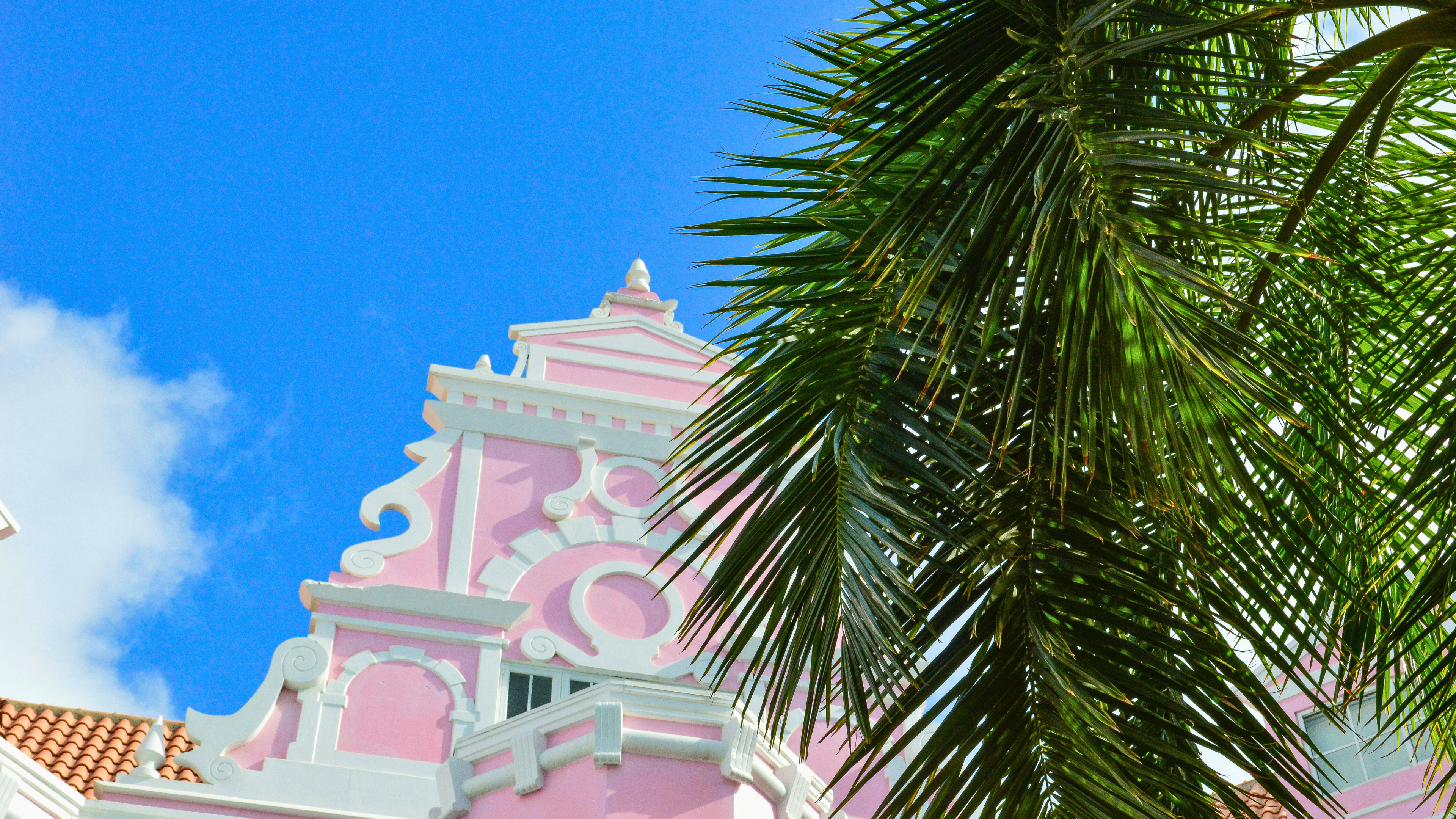 Dutch Caribbean Singles Cruise - Image 7