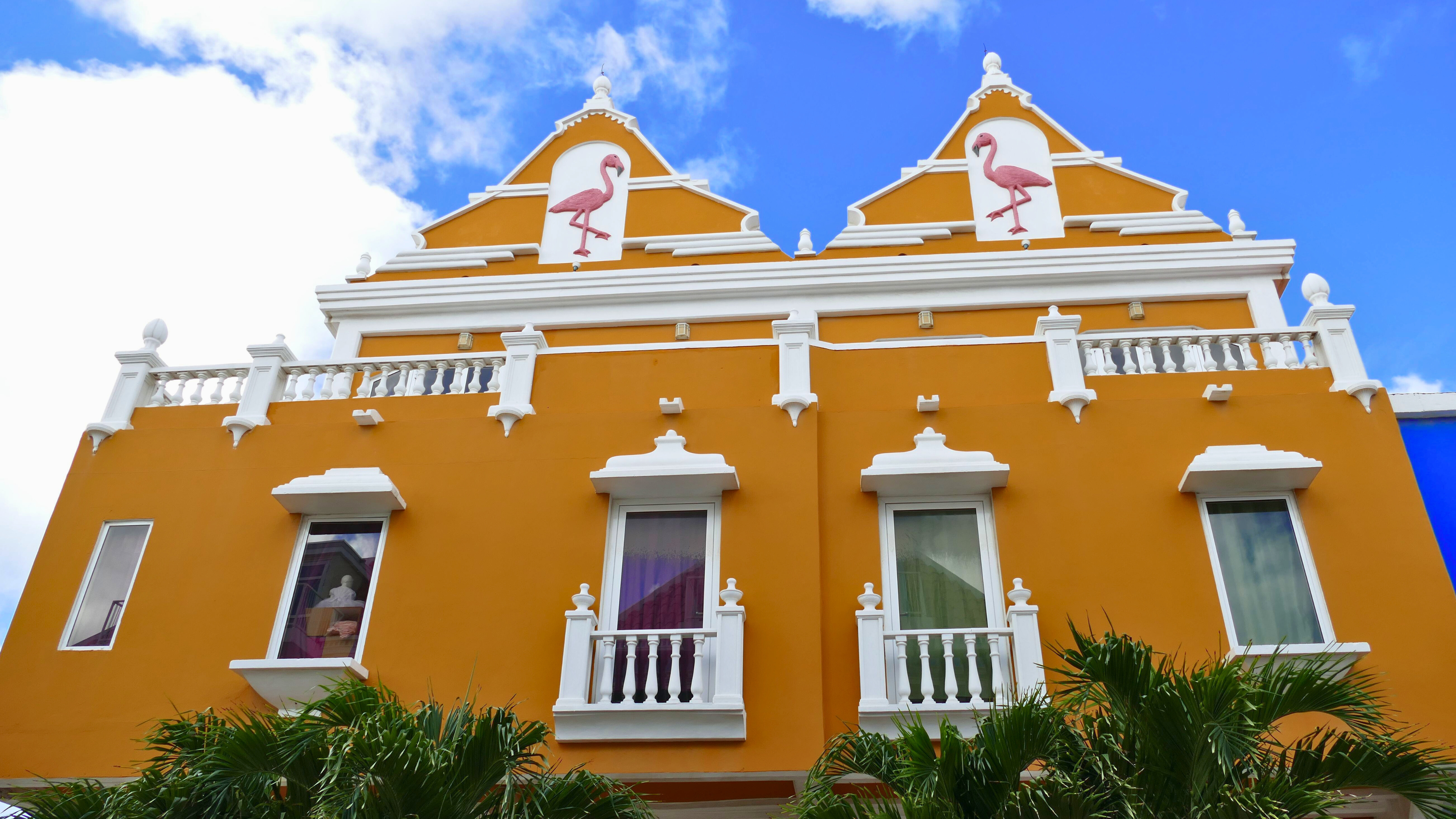 Dutch Caribbean Singles Cruise - Image 9