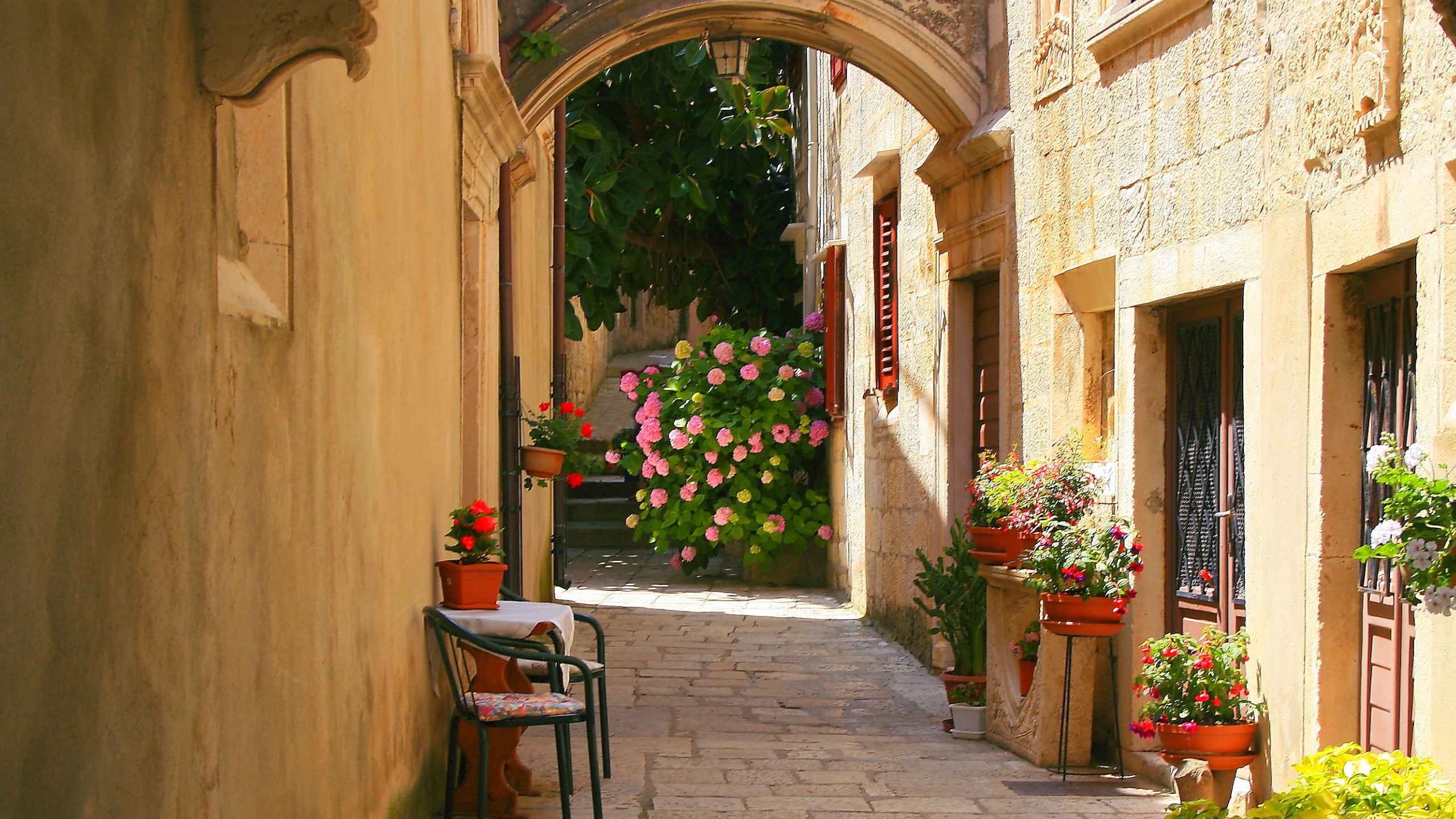 Idyllic Alley corner with back yard hydrangeas, flower pots garden in medieval old town in Dalmatia, Croatia