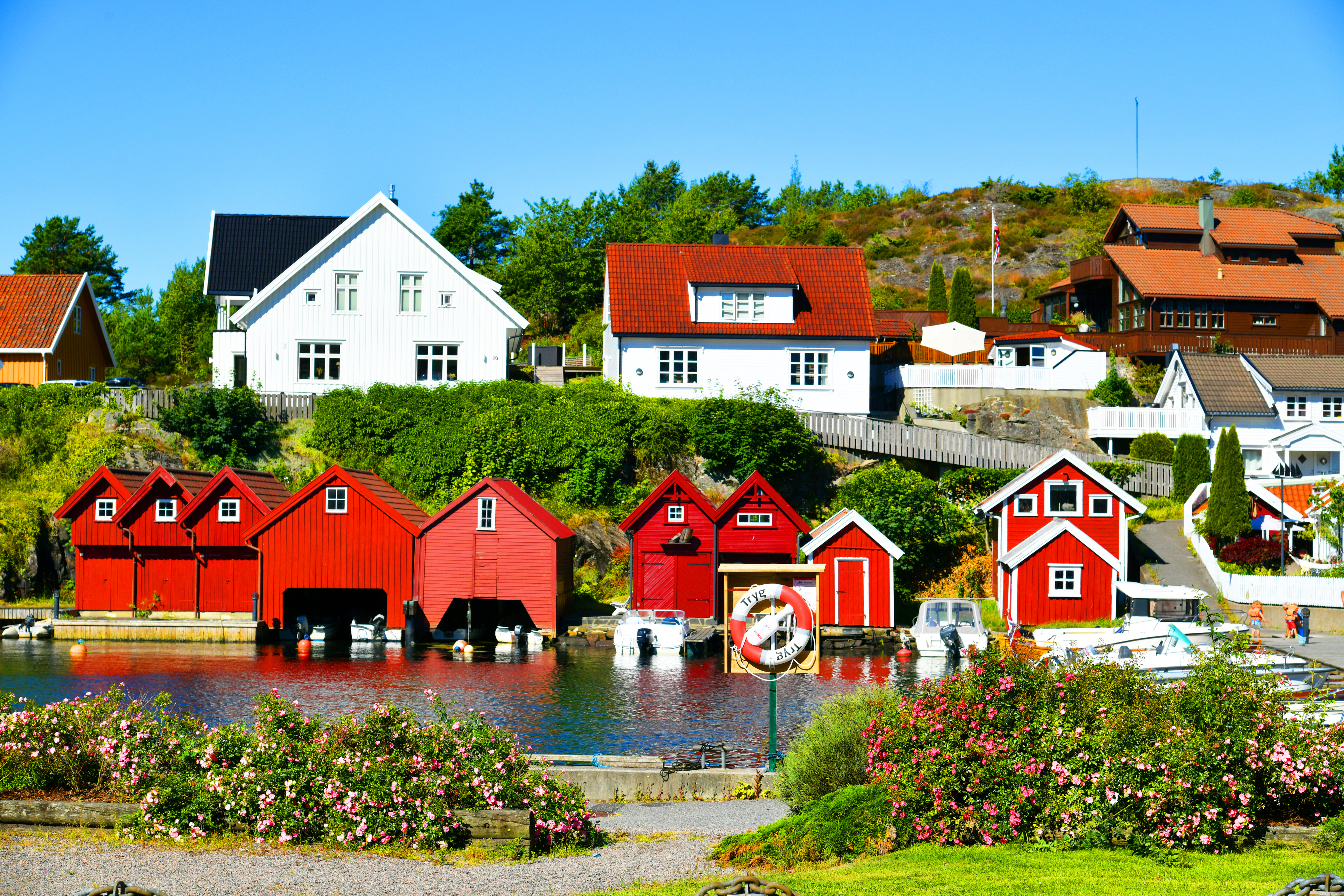 Scenic Scandinavia Singles Cruise - Image 6