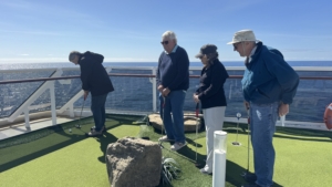 Mini golf